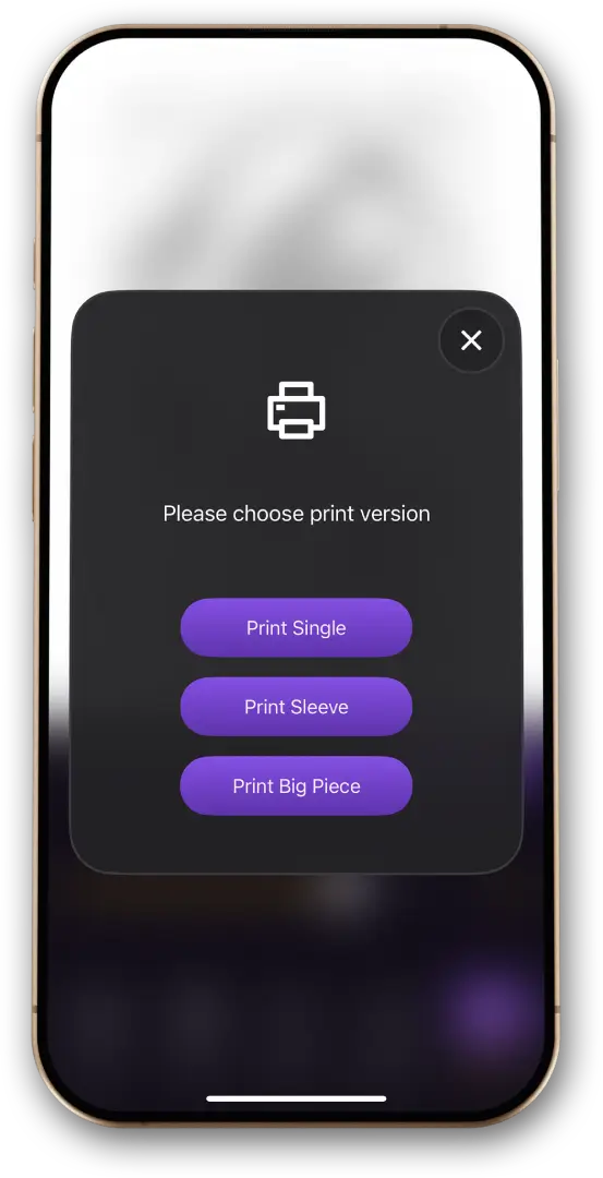 Step 3: Select print version