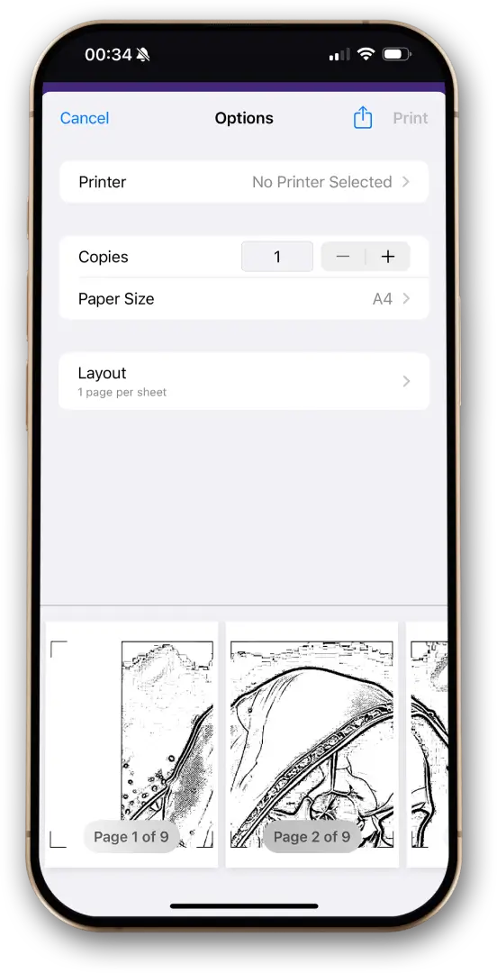 Step 5: Connect to your printer and you are done